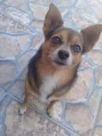 Tonny