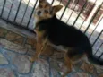 Tonny