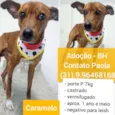 CARAMELO