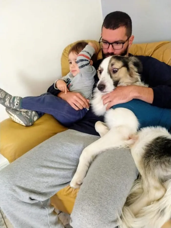 Cachorro ra a SRD-ViraLata idade 1 ano nome Nero