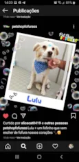 Lulu