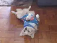 Lulu