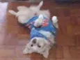 Lulu