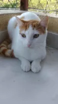 Zoé