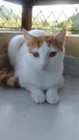 Zoé