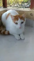 Zoé