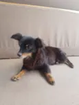 Timothy