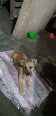 Ted