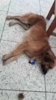 Leo