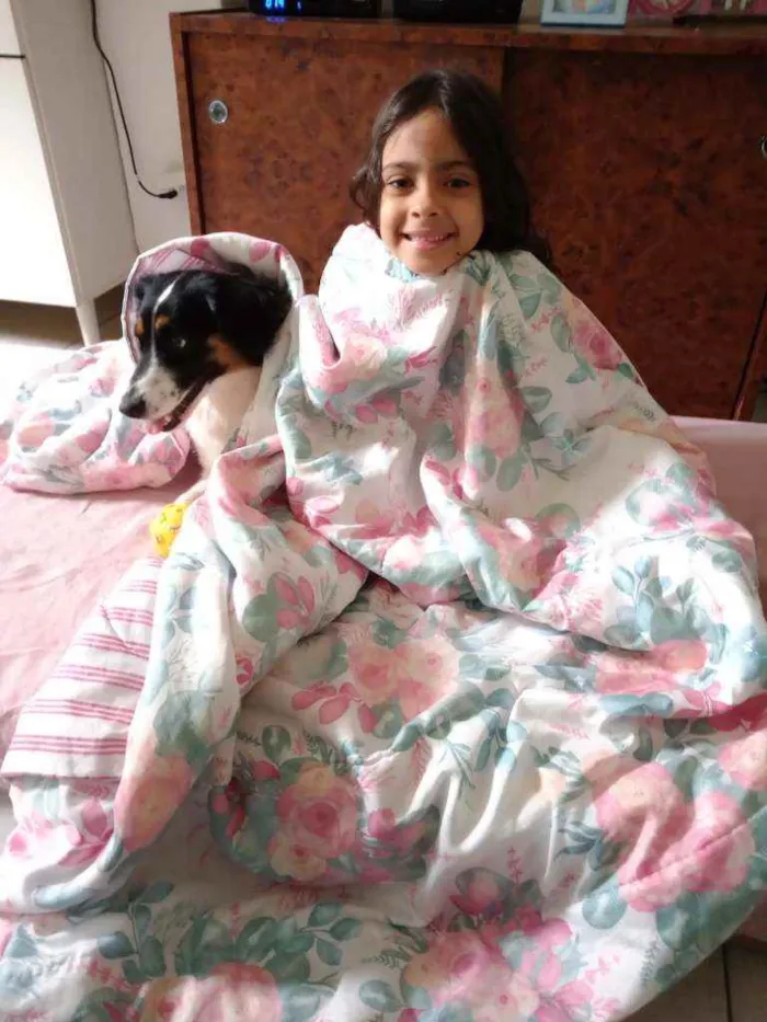 Cachorro ra a Mistiça  idade 2 anos nome Maya Jagochitz