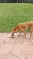 KIARA