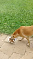 KIARA