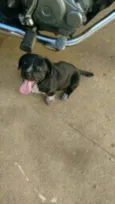 Meg