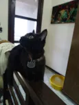 Elvira