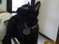 Elvira