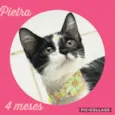 Pietra