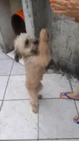 Nina