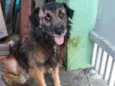 Ralf