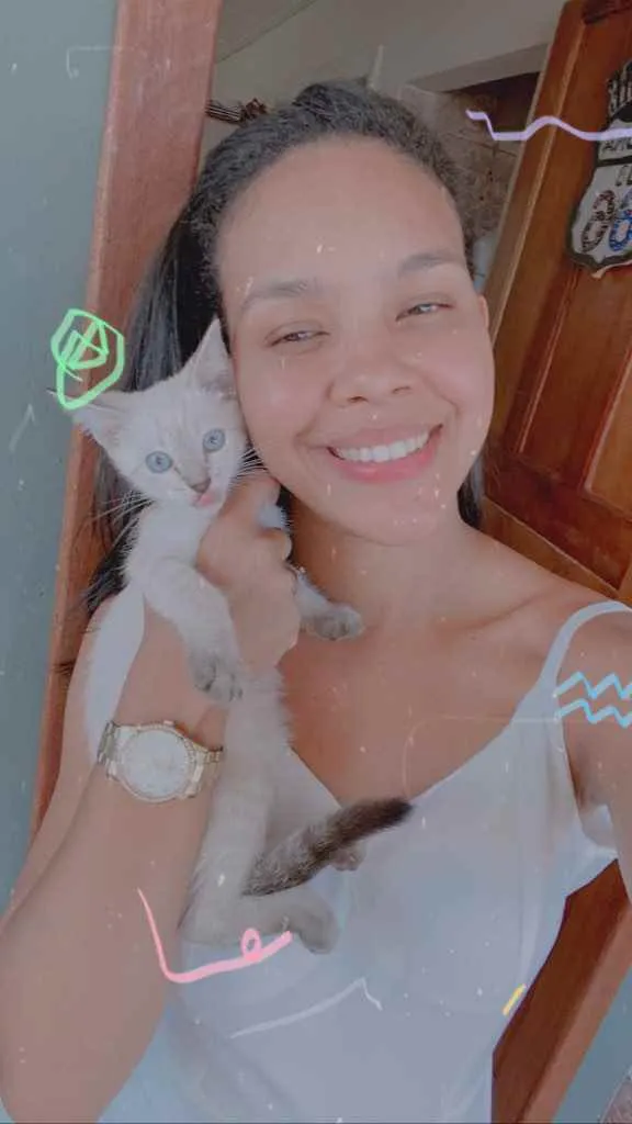 Gato ra a Siamês  idade 2 a 6 meses nome Nala 