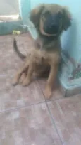 Lola