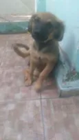 Lola