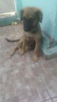 Lola