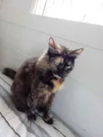 Menina belíssima