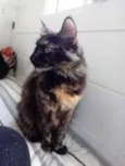 Menina belíssima