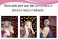Fofurinhas