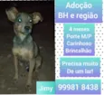Jimy