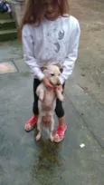 Branquinha