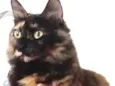Menina belíssima