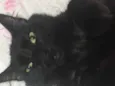Melzinho