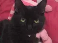 Melzinho