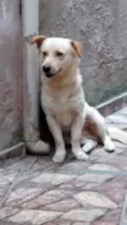 Luky