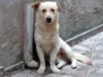 Luky