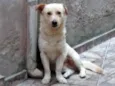 Luky