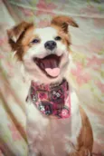 Jessy