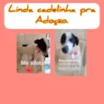 Boni