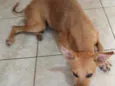 Théo 