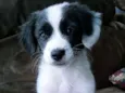 Borá S.J.RioPreto