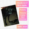Pretinha 