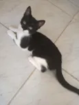 Sol, estrela, luna