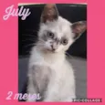 July