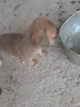 Não tem ainda
