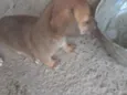 Não tem ainda