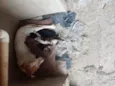 Não tem ainda