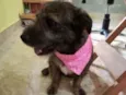 Mel