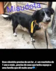 Sem nome