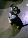 Mel